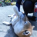 Photos: おばちゃんと分かったとたん