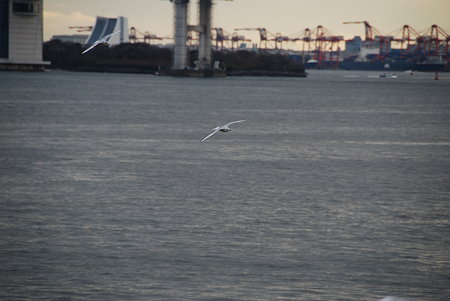 DSC_6039