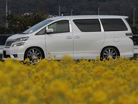 GOLDRUSHさん１