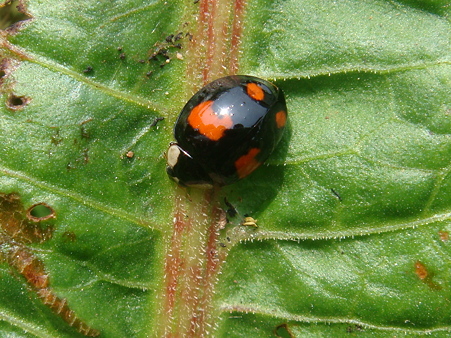 DSC01974