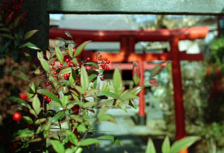 Image0307(Nikomat FTN)