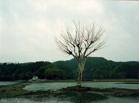 Image0116（PENTAX 645）