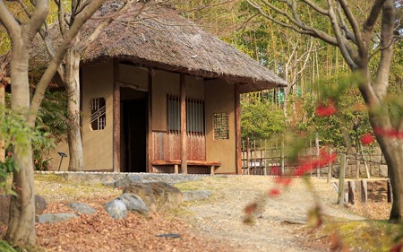宇治植物公園26