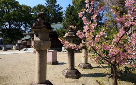 淀城址33
