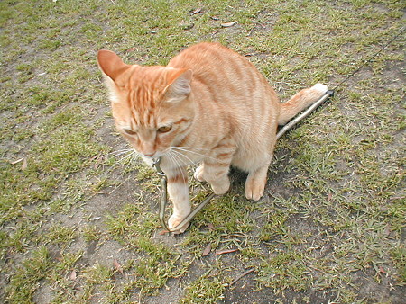 P5160075