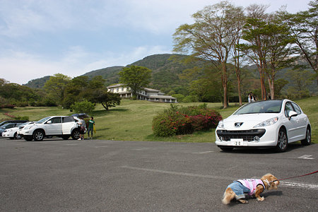 荒れ果てた駐車場（汗