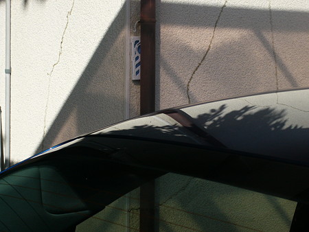 P1610825