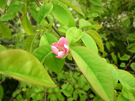 P1150644