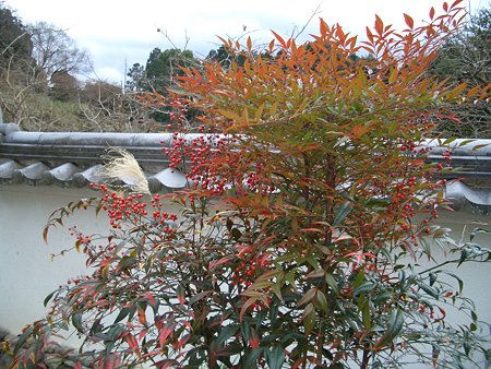 初詣2009 033