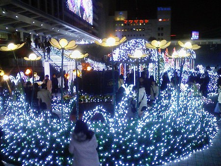 081227-テラス 下 夜 (3)