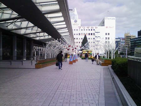 081223-テラス風景 昼 (2)