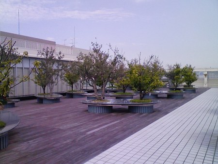 081229-心斎橋SOGO屋上