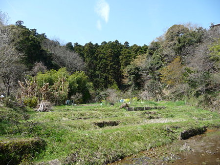 090403-鎌倉 谷戸の風景