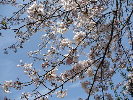 090403-葛原が丘 (9)