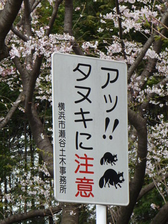 090404-両側並木 (3)