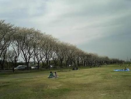 080402-ゲートの近く