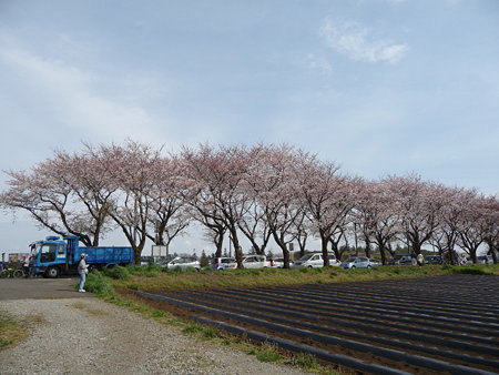 090404-北側入口 (2)