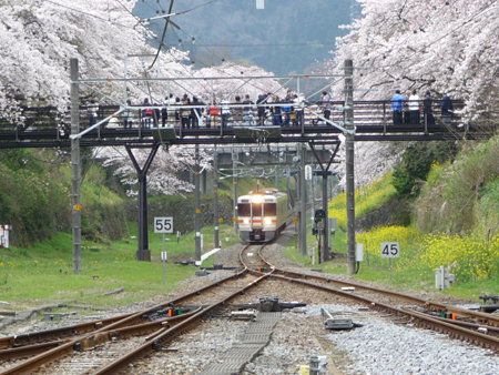 090405-山北駅ホームから (8)