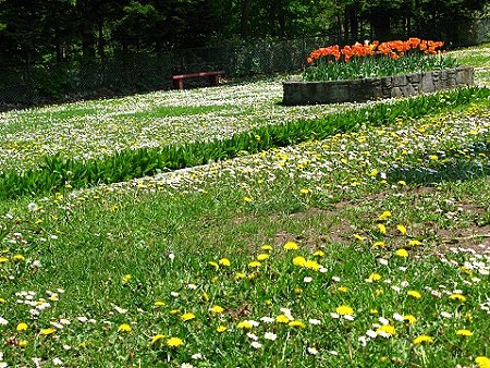 20080525