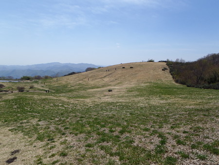 14050331