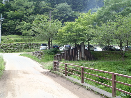 14061429