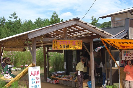 コスモスの里　入口風景