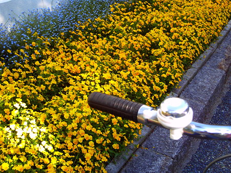 PICT0006