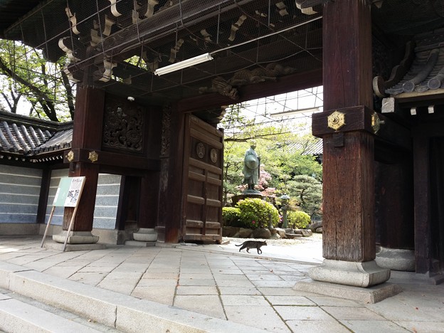 顕証寺