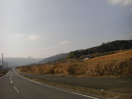 田んぼ行き4