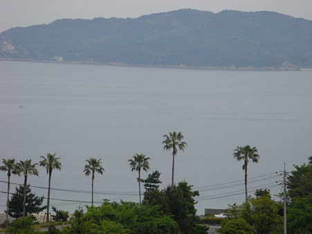 宮崎・・・ではない