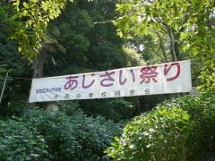 あじさい祭り