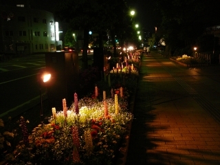 歩道
