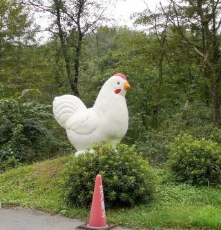 こっこ