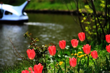 Blog_20140505_017