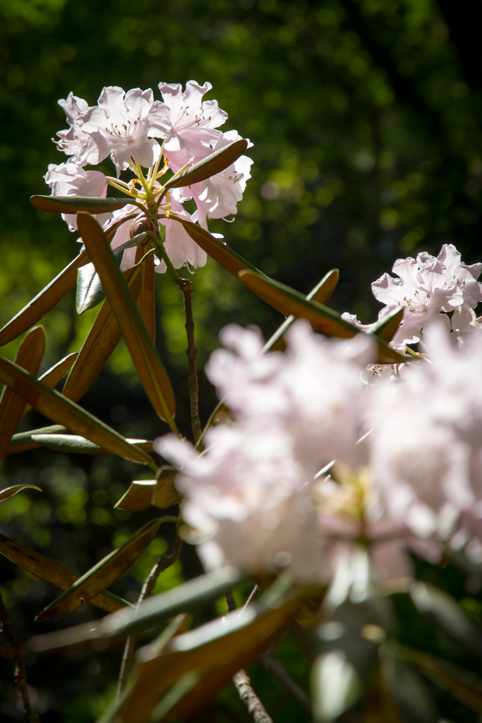 写真: IMG_3217