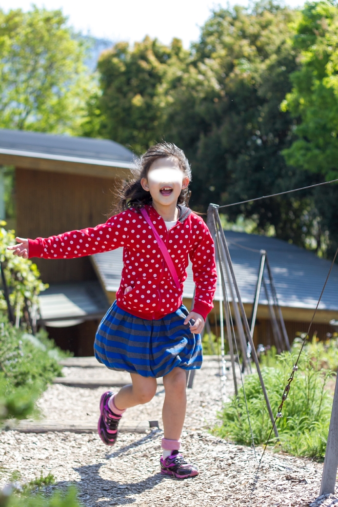 写真: IMG_3668