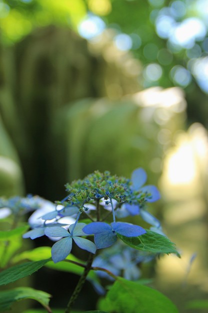 06