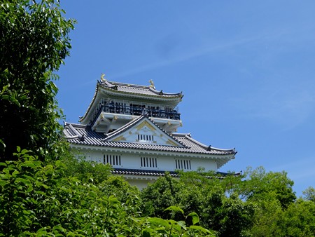 DSC02556