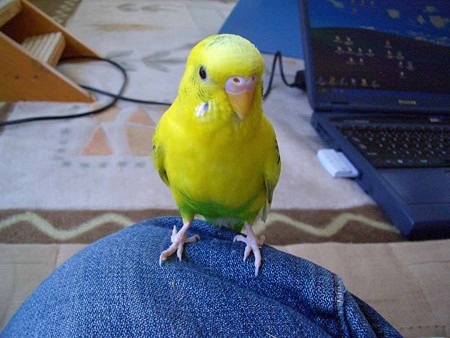 こんにちは、チコです♪