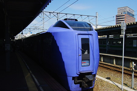 IMGP1602