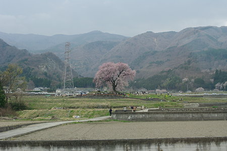 IMGP5927
