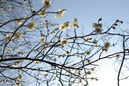 IMGP0077