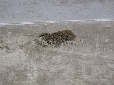 20080521