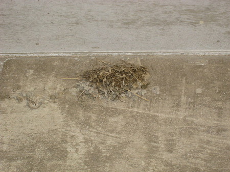 20080522