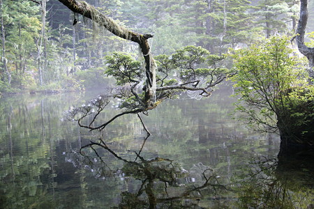 2008.08.12　神降地　明神池