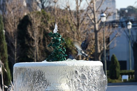 2008.12.28　横須賀ヴェルニー公園　噴水に鳩