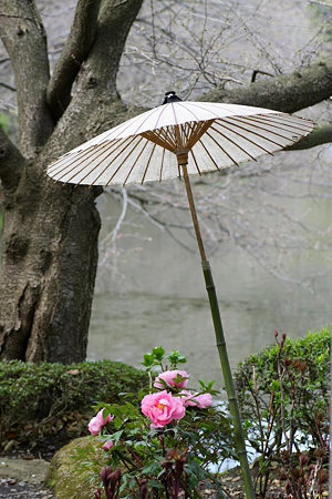 2009.03.21　鶴岡八幡宮　神苑　牡丹庭園