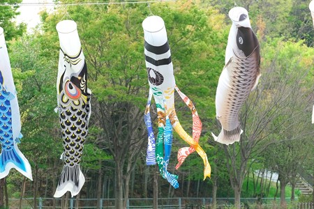 2014.04.14　和泉川　鯉幟