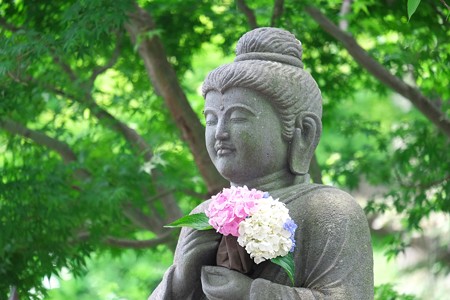 2014.06.17　鎌倉　長谷寺　仏像と紫陽花