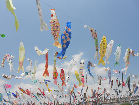 resize1265